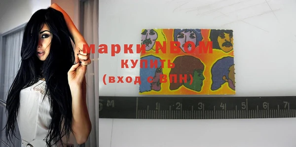 шишки Вяземский