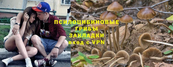 а пвп мука Вязьма